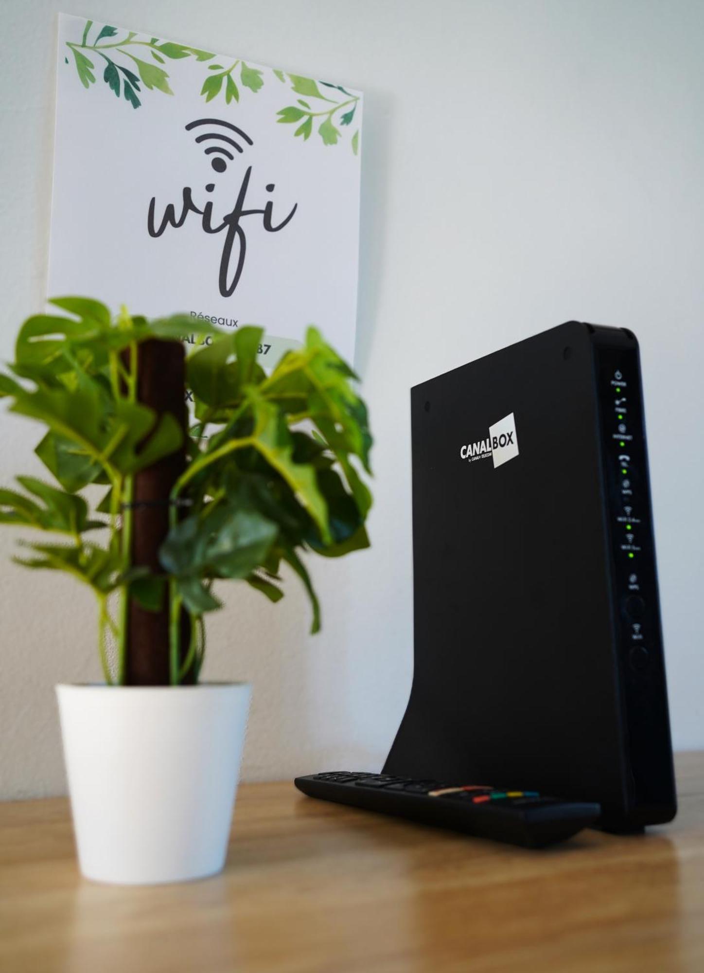 Studio Hibis Blue Cayenne Ngoại thất bức ảnh